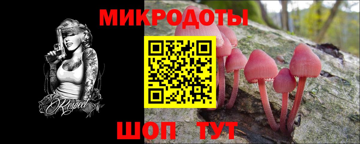 Галлюциногенные грибы прущие грибы Шахты
